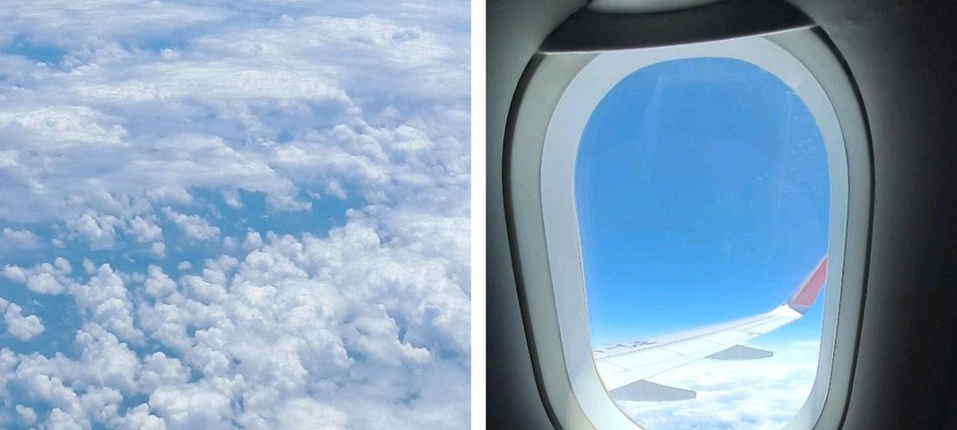Perspective